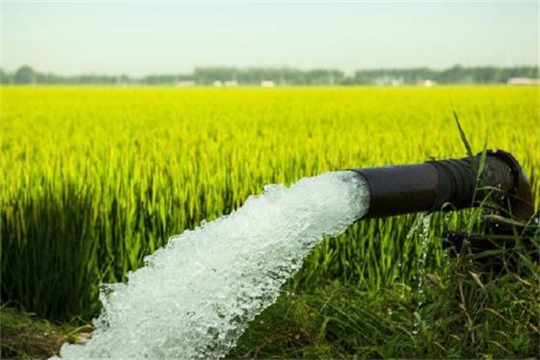 农田灌溉水