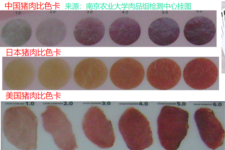 肉色测量-比色板法3