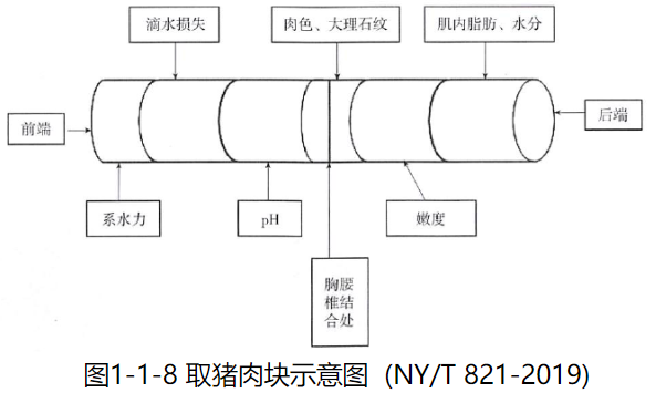 肉色测量-比色板法