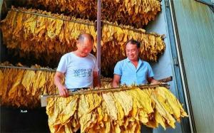 烟叶的颜色分级方法&mdash;&mdash;CIEDE2000色差公式