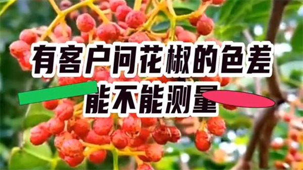 【案例】花椒测色&mdash;&mdash;TS8560台式分光测色仪