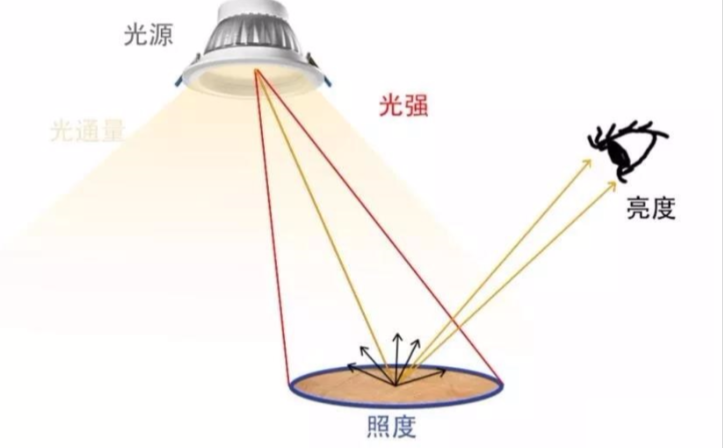 勒克斯：照度的度量单位